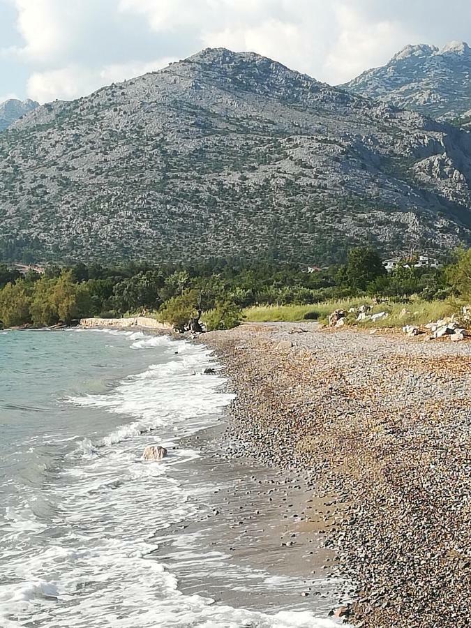 Apartments Veni Up Starigrad Paklenica Bagian luar foto